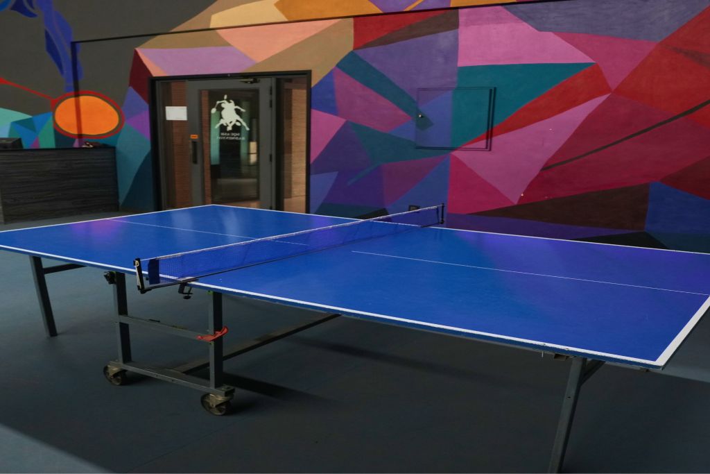 ProfessionalTable Tennis Suite